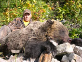 Grizzly Bear