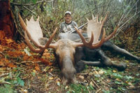 Moose