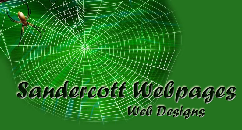 Web Design Logo